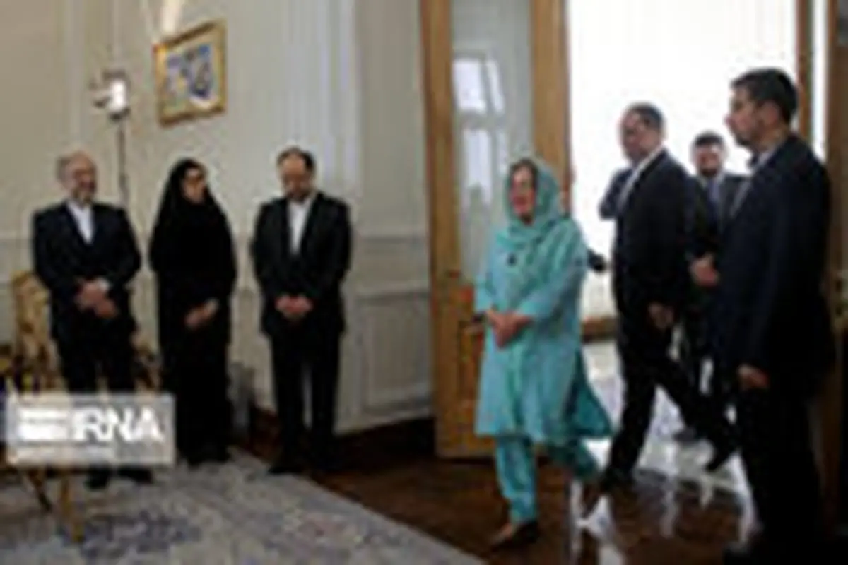 دیدار خداحافظی سفیر پاکستان با ظریف