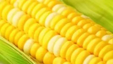 مزایای مصرف فیبر خوراکی