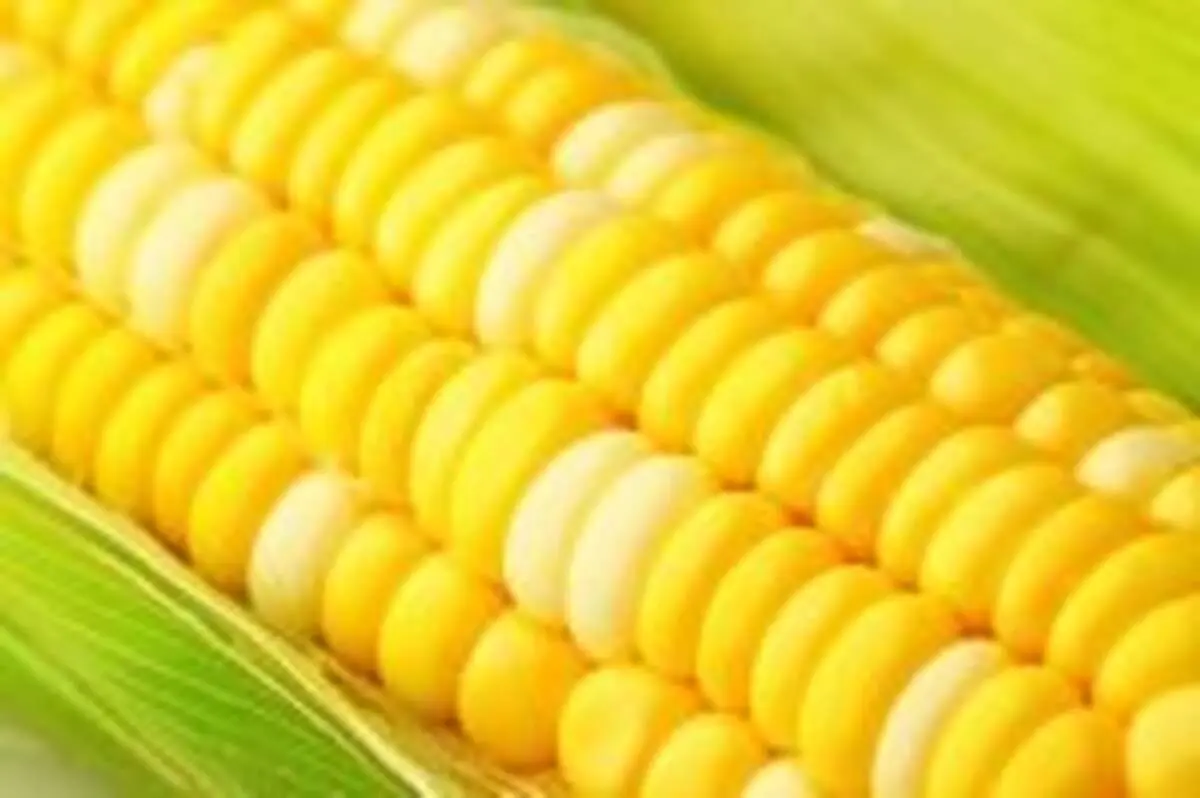 مزایای مصرف فیبر خوراکی