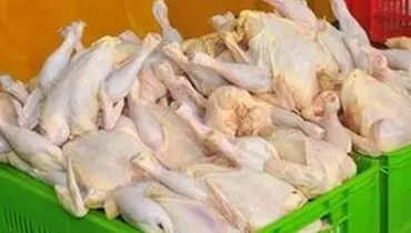 قیمت هر کیلو مرغ به ۱۳ هزار و ۸۰۰ تومان رسید