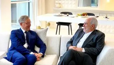 رئیس کمیته سیاست خارجی پارلمان آلمان با ظریف دیدار کرد