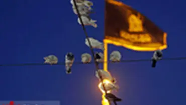 مراسم خطبه خوانی شب شهادت امام رضا (ع) در حرم رضوی