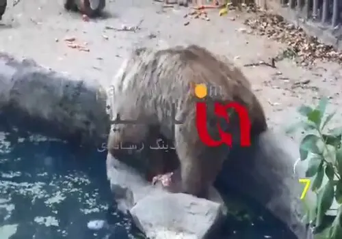 فرار مقامات نپال ازطریق آویزان شدن از هلیکوپتر + ویدیو