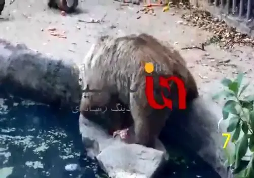 فرار مقامات نپال ازطریق آویزان شدن از هلیکوپتر + ویدیو