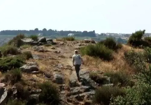 بازسازی چهره اجداد اولیه انسان برای نخستین‌بار منتشر شد + عکس