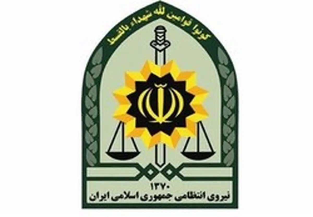 توضیحاتی درمورد فیلم درگیری مأمور انتظامی با دختری جوان