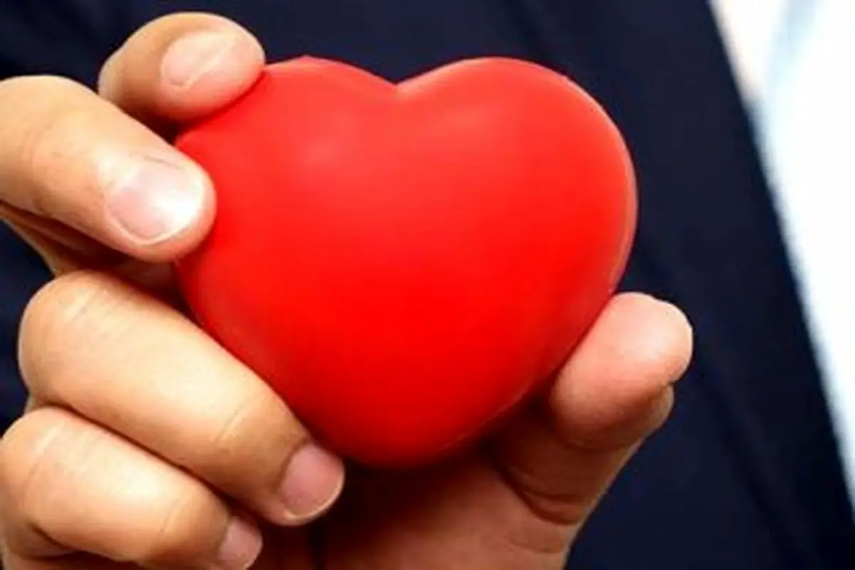 مفهوم عشق بیقیدوشرط