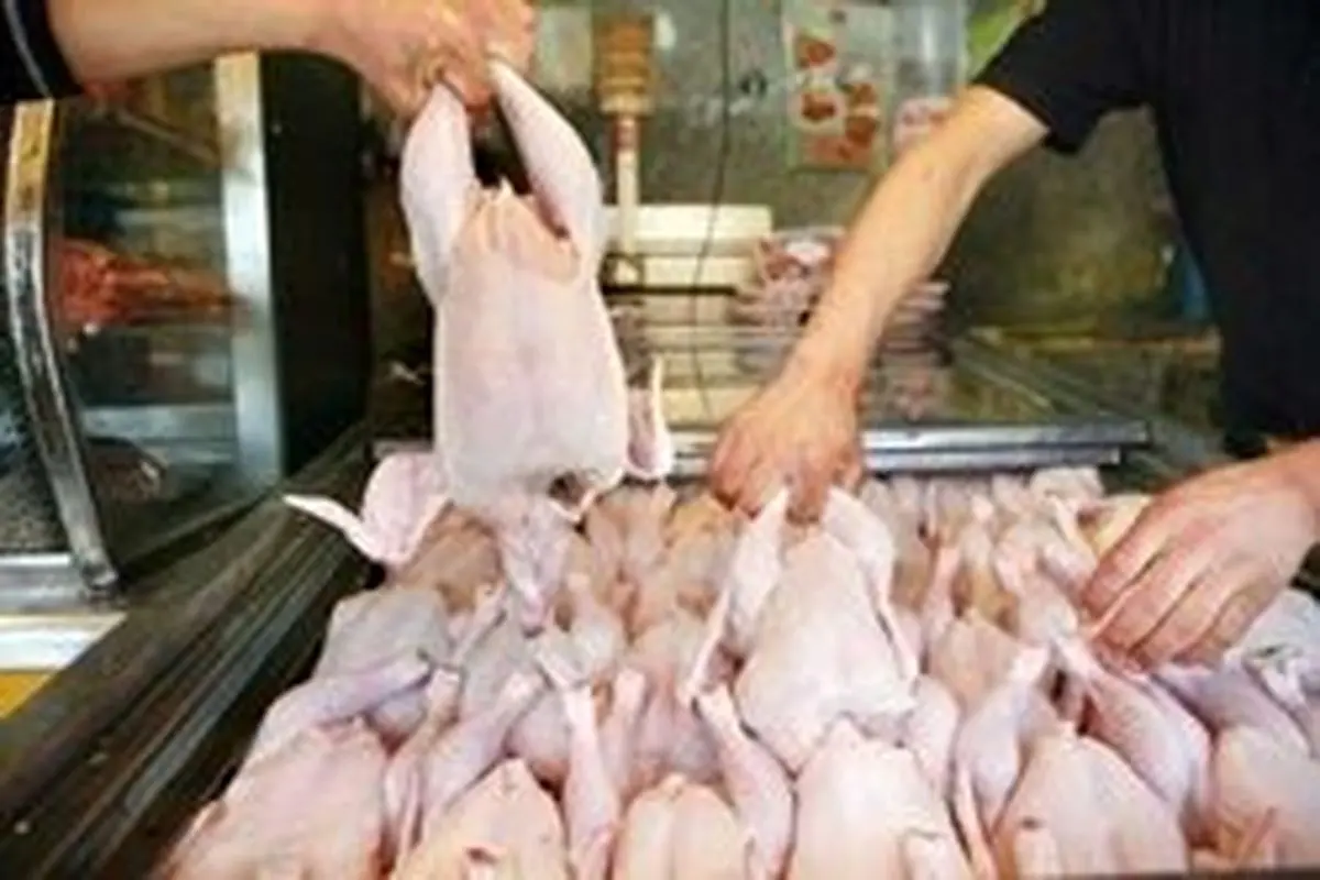 استمرار ثبات قیمت مرغ در بازار/ متوسط تلفات بیماری نیوکاسل در کشور ۱۰ درصد است