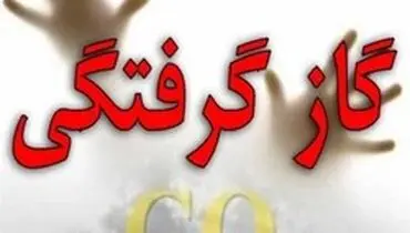 تهران دارای بیشترین آمار گازگرفتگی در کشور