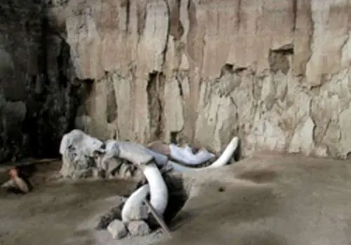 کشف سکونتگاه‌های باستانی از استخوان ماموت + عکس