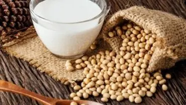 یا مصرف سویا باعث ناباروری مردان می‌شود؟
