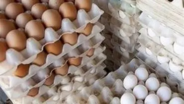 تخم مرغ باز هم گران شد