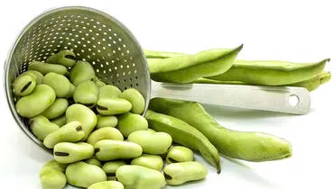 خواص ناشناخته گیاهی که سرشار از املاح معدنی است