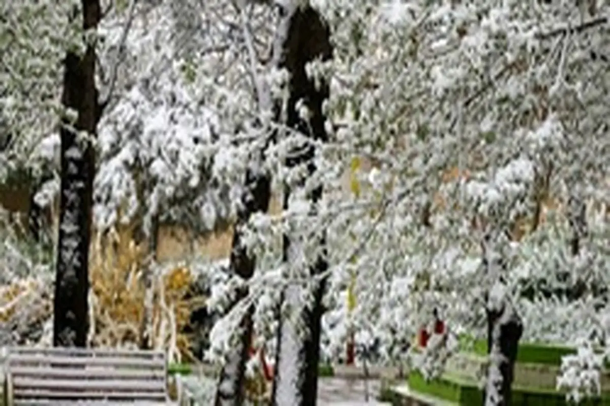 تداوم بارش برف در تهران تا دو روز آینده