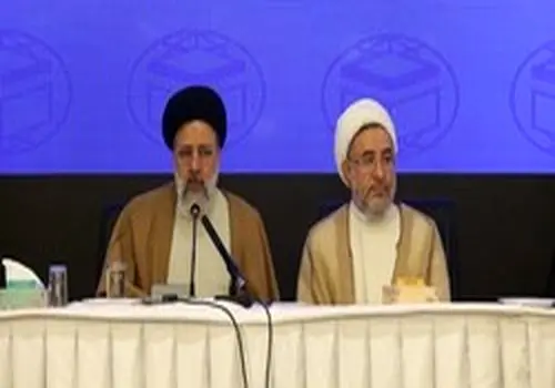 کوچکترین شرکت کننده در همایش جهانی امام رضا(ع)/عکس 