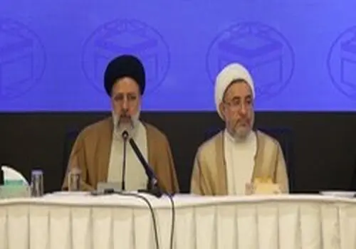 کوچکترین شرکت کننده در همایش جهانی امام رضا(ع)/عکس 