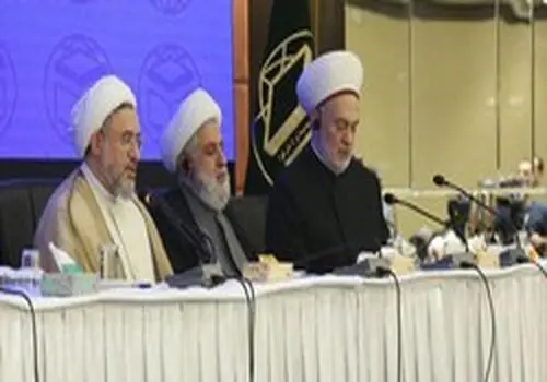 کوچکترین شرکت کننده در همایش جهانی امام رضا(ع)/عکس 