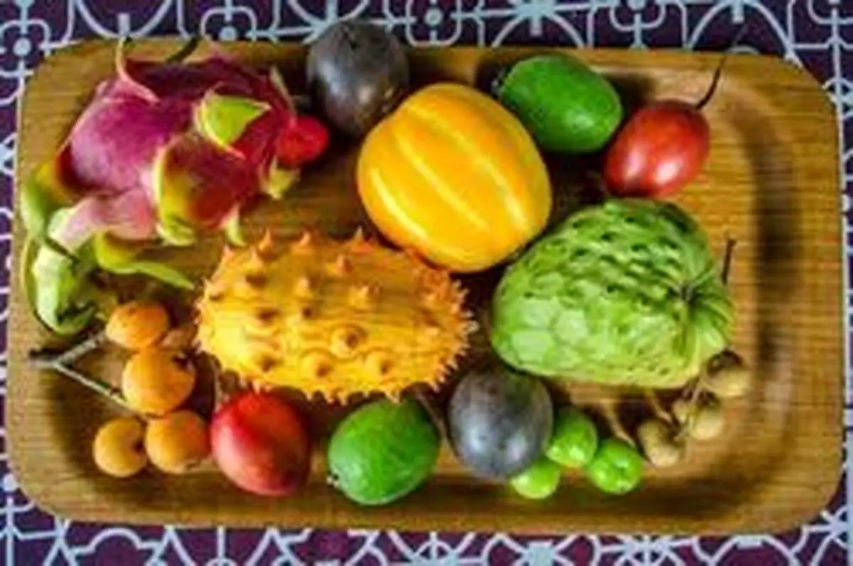 کاهش قیمت میوه بعد از اجرای سهمیه‌بندی بنزین