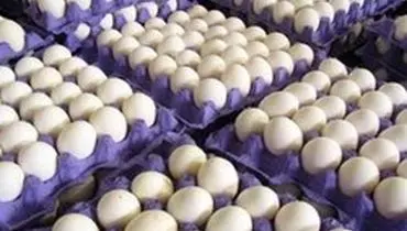 گرانی ۱۰ هزار تومانی تخم مرغ