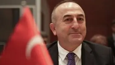 آنکارا نام فرد برملاکننده مکان حضور البغدادی را اعلام کرد