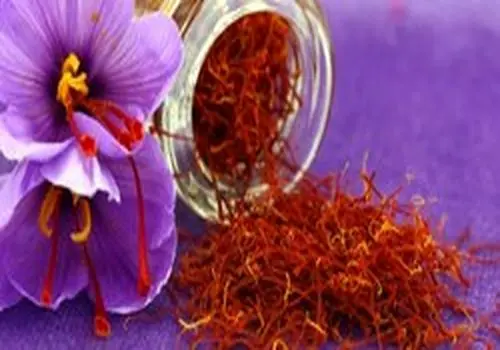 قاچاق ماهانه 10 تن زعفران به آن‌سوی مرزها