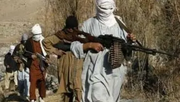 دو گروگان غربی طالبان آزاد شدند