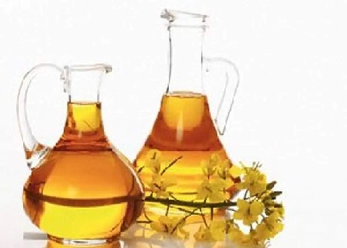دو خوراکی مواثر برای لاغر کردن شکم