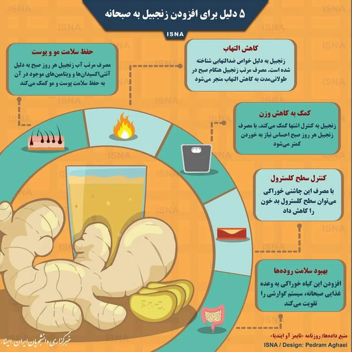 پنج دلیل برای افزودن زنجبیل به صبحانه +اینفوگرافیک
