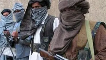 طالبان سالی چقدر درآمد دارد؟