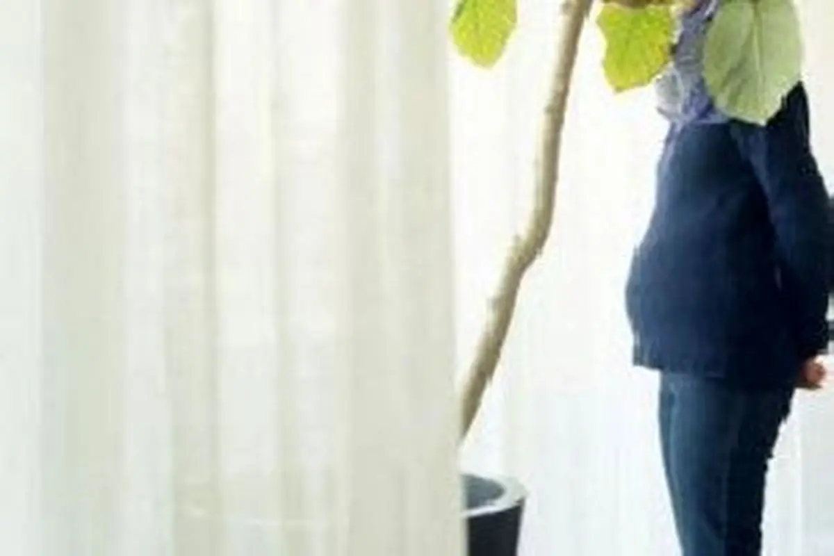 در ۹ ماهه دوران بارداری باید بدانید
