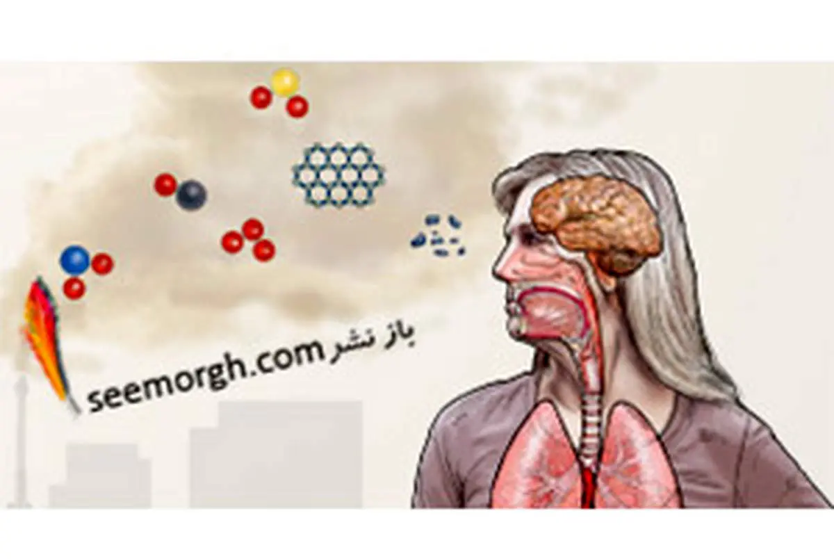 تاثیر آلودگی هوا بر مغز انسان، از کودکی تا سالمندی