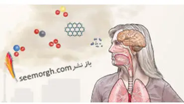 تاثیر آلودگی هوا بر مغز انسان، از کودکی تا سالمندی