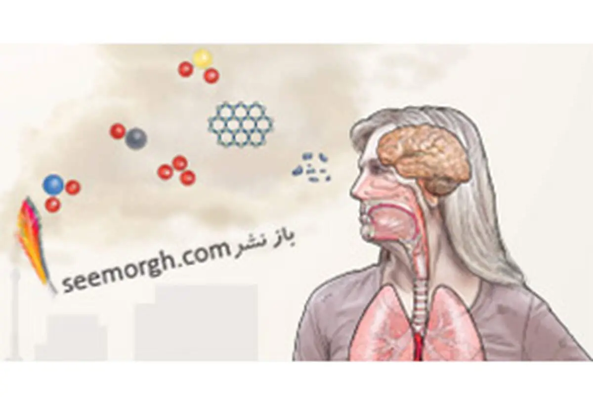 تاثیر آلودگی هوا بر مغز انسان، از کودکی تا سالمندی