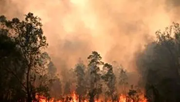 گسترش آتش‌سوزی در جنگل‌های استرالیا