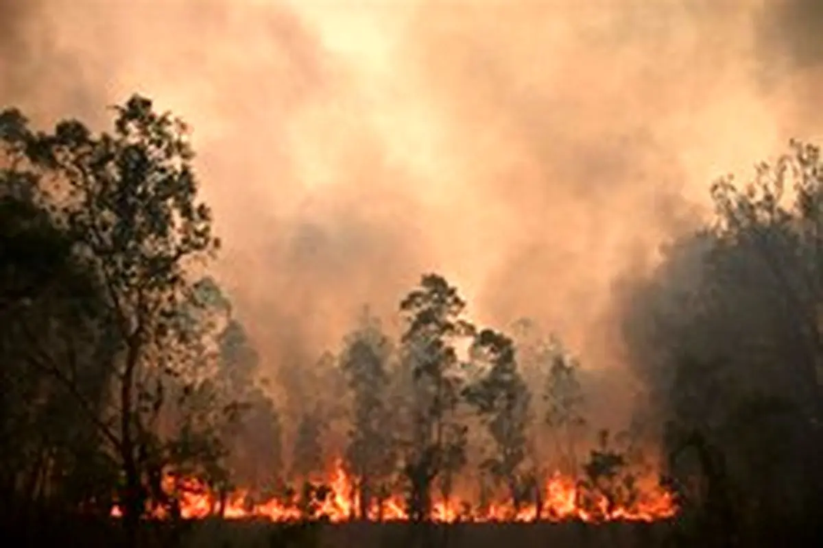 گسترش آتش‌سوزی در جنگل‌های استرالیا