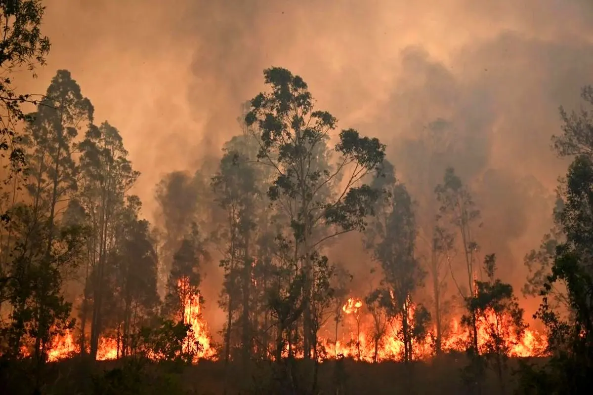 آتش سوزی وحشتناک در استرالیا