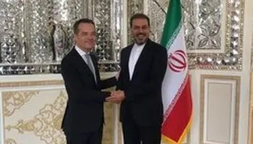 دیدار و گفت‌وگوی دبیر کل وزارت خارجه بلژیک با معاون ظریف