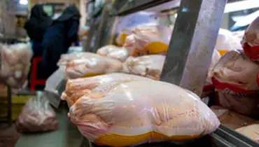 قیمت هر کیلو مرغ ۱۳ هزار و ۵۰۰ تومان است