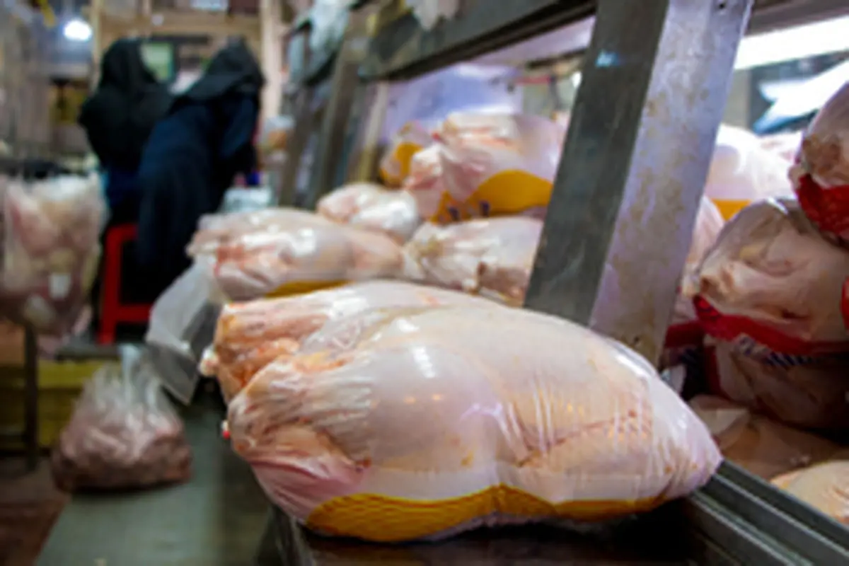 قیمت هر کیلو مرغ ۱۳ هزار و ۵۰۰ تومان است