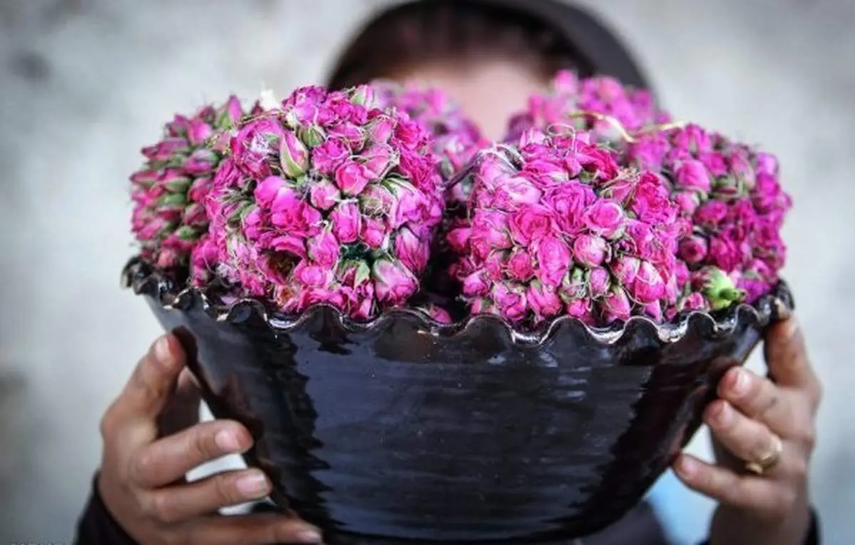 تکنیک هایی ساده و کاربردی برای طولانی شدن عمر