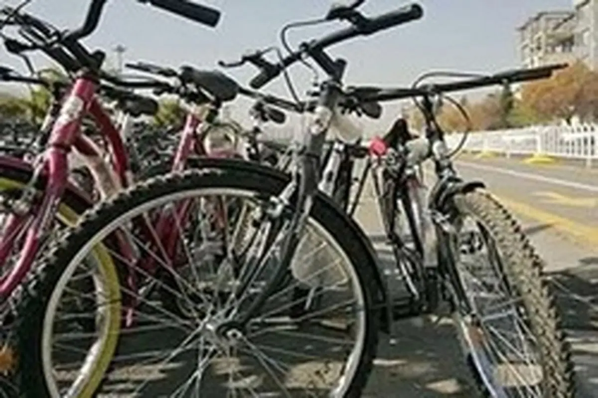 کشف دوچرخه‌های قاچاق میلیاردی در بوشهر