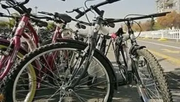 کشف دوچرخه‌های قاچاق میلیاردی در بوشهر
