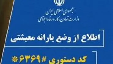اطلاعیه جدید وزارت کار/ رفع اختلال شماره گیری کد #۶۳۶۹* تا ساعاتی دیگر