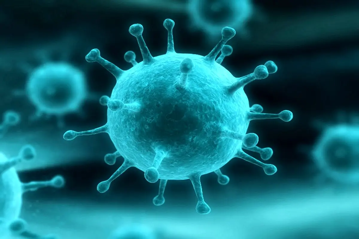۶ راه انتقال وبا