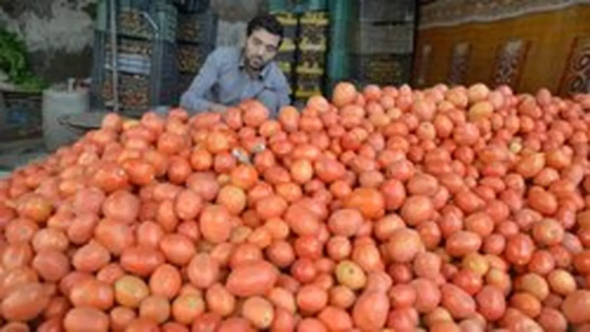 چرا گوجه گران شد؟