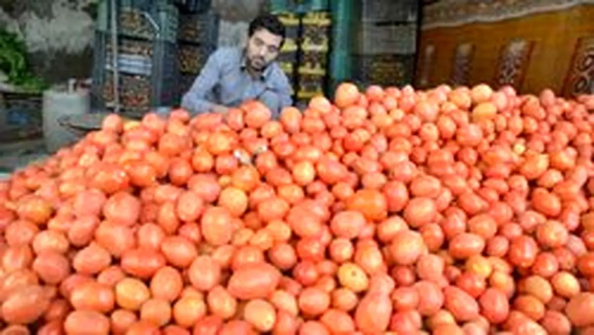 چرا گوجه گران شد؟