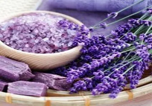 این گیاه معطر عفونت را بهبود می‌بخشد

