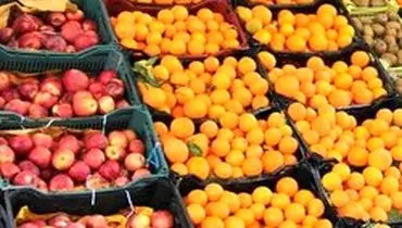 قیمت گوجه یکماهه ۵۵.۵ درصد افزایش یافت