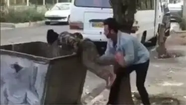 کودک زباله‌گرد در فردیس شناسایی شد