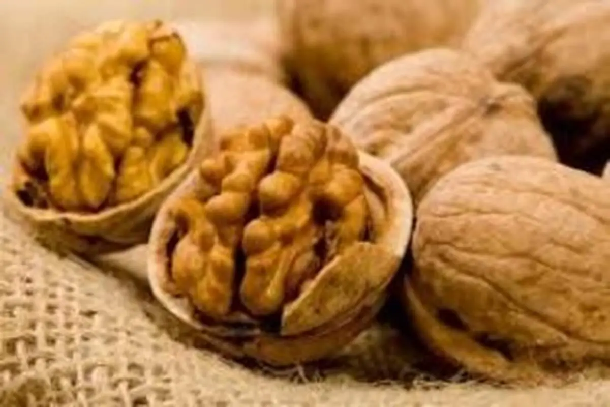 ماده غذایی بسیار مفید برای مردان نابارور